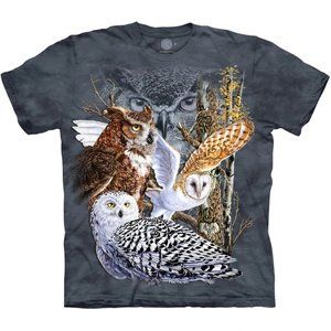 Find 11 Owls Owl Bird Wise Barn Great Grey Horned Snowy Owls Hoot T-Shirt M-3X